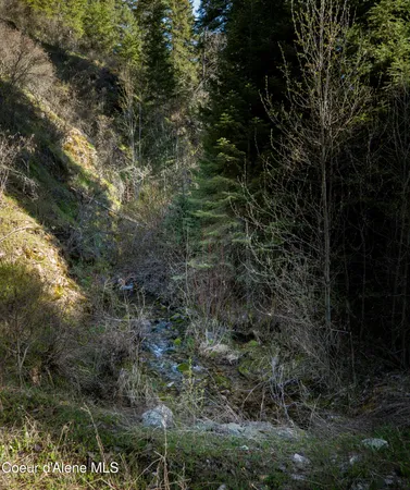 $997,500 | 262 Ac North Side Road, Calder, ID 83808