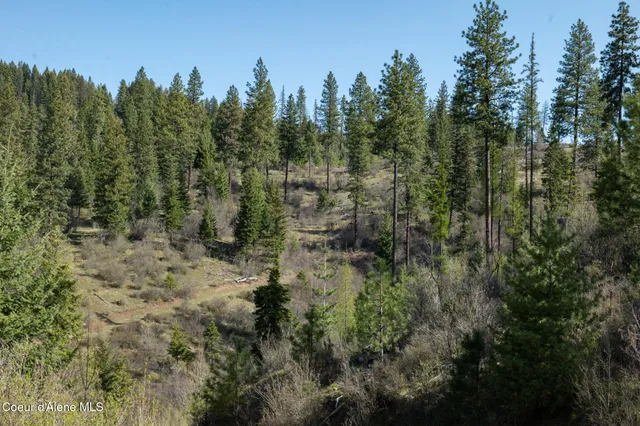 $997,500 | 262 Ac North Side Road, Calder, ID 83808