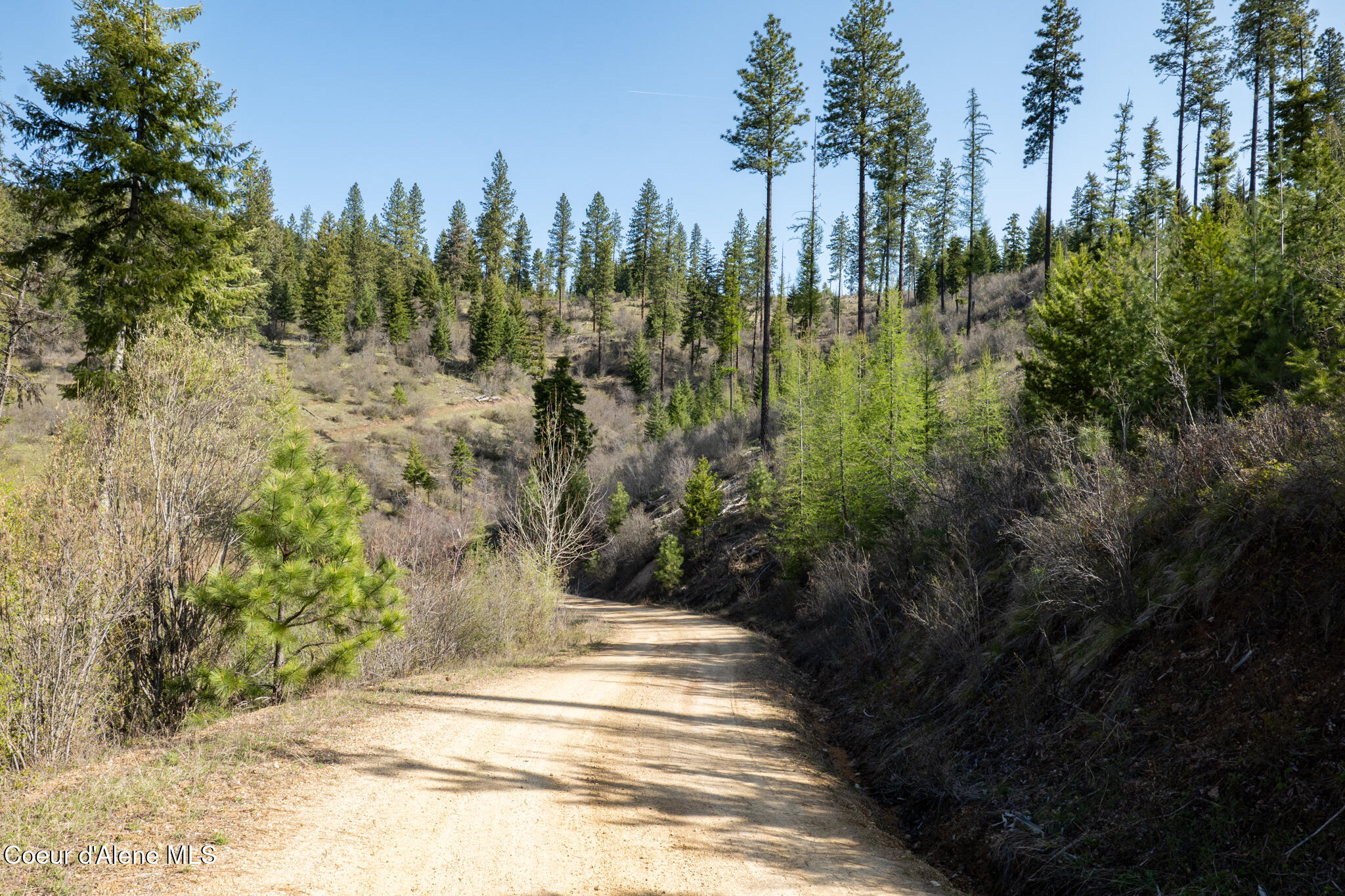 262 Ac North Side Road Calder, ID 83808 - Photo 56 of 72 NWLL Herrick-56