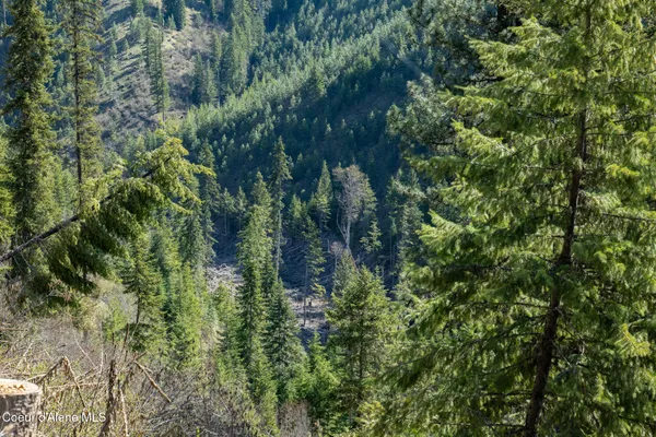 $997,500 | 262 Ac North Side Road, Calder, ID 83808