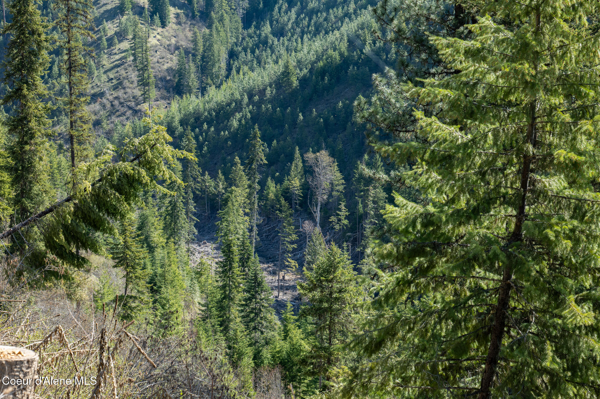 262 Ac North Side Road Calder, ID 83808 - Photo 57 of 72 NWLL Herrick-57