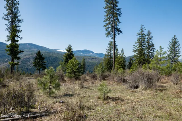$997,500 | 262 Ac North Side Road, Calder, ID 83808