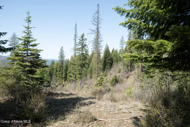 $997,500 | 262 Ac North Side Road, Calder, ID 83808