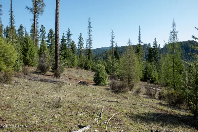 $997,500 | 262 Ac North Side Road, Calder, ID 83808