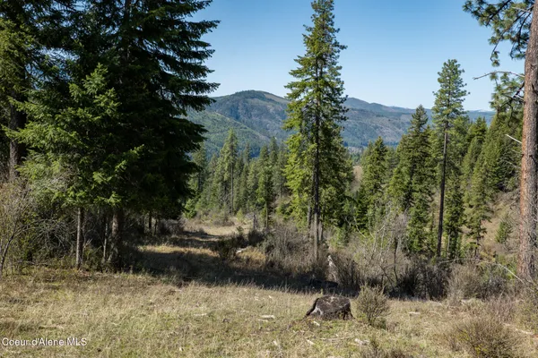 $997,500 | 262 Ac North Side Road, Calder, ID 83808