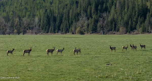 $997,500 | 262 Ac North Side Road, Calder, ID 83808