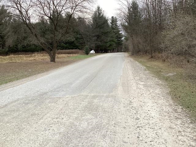 County D Road Bowler, WI 54416 - Photo 4 of 4