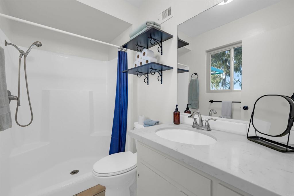 3129 Frying Pan Road Borrego Springs, CA 92004 - Photo 18 of 38 a bathroom with a sink a toilet and shower