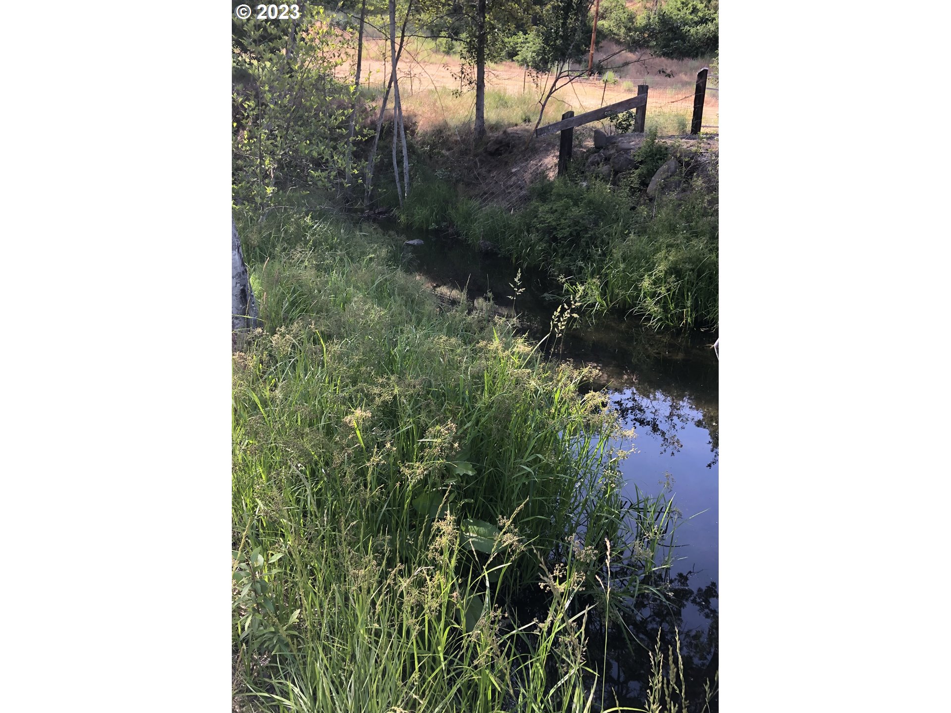 515 Wilson Road Mosier, OR 97040 - Photo 15 of 32 Gallery Image 15