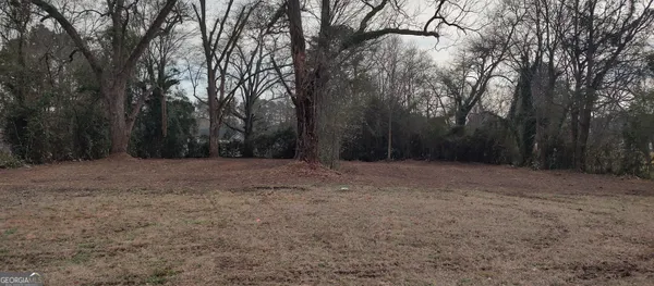 a view of road with large trees