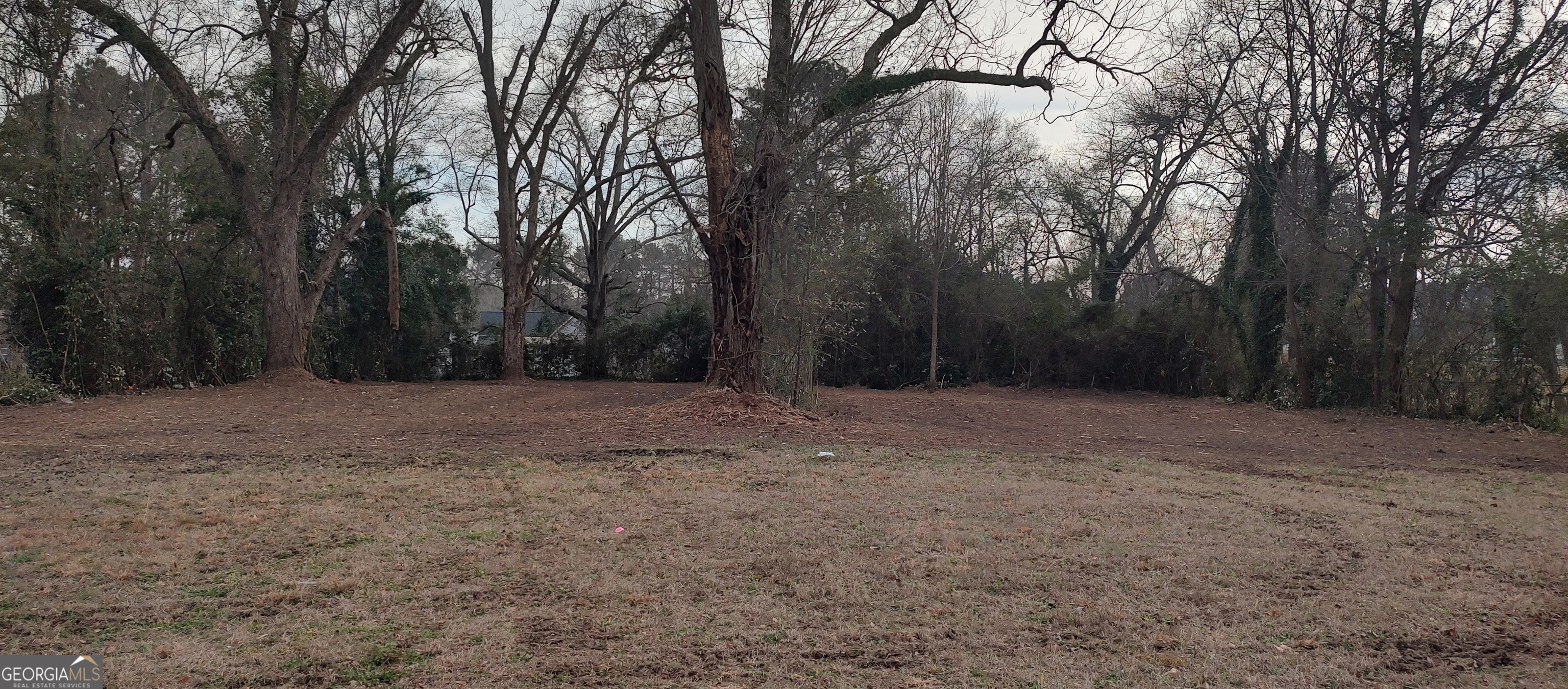 317 West College Street Jackson, GA 30233 - Photo 1 of 3