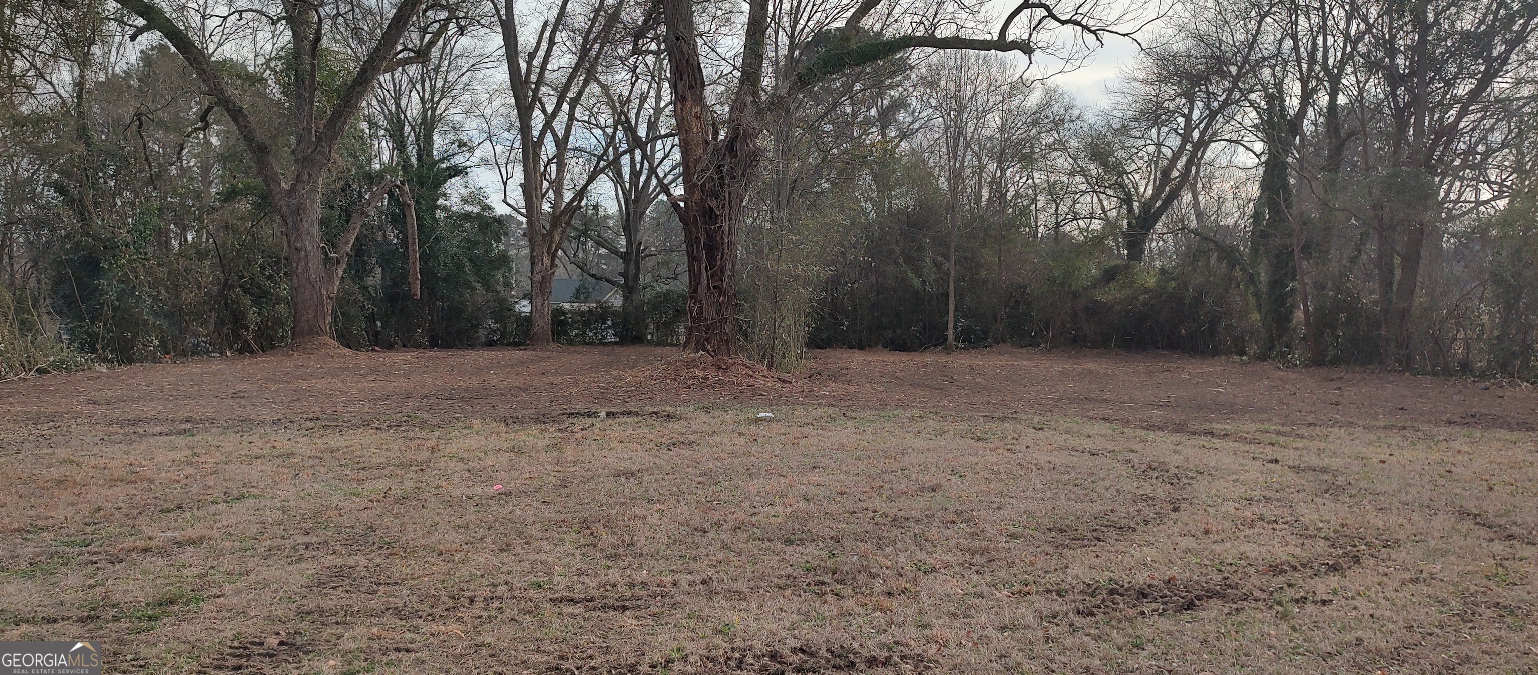 317 West College Street Jackson, GA 30233 - Photo 2 of 3