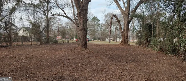 a view of dirt yard with a tree