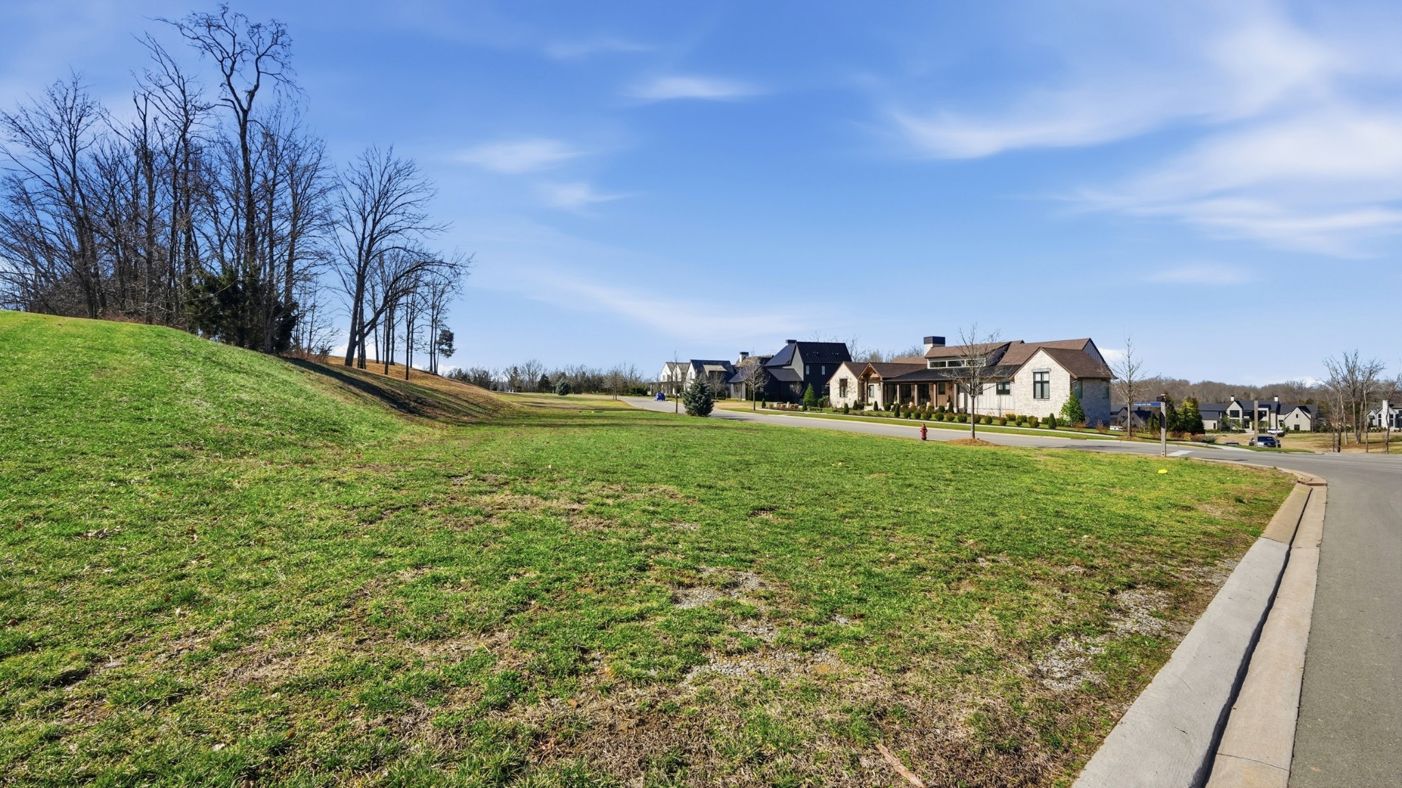 7100 Lanceleaf Drive College Grove, TN 37046 - Photo 2 of 10 a view of a golf course with huge green field and houses