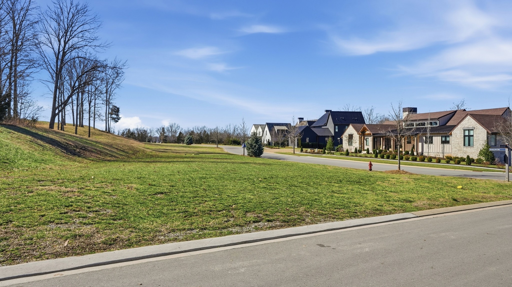 7100 Lanceleaf Drive College Grove, TN 37046 - Photo 3 of 10 a view of a park with large trees