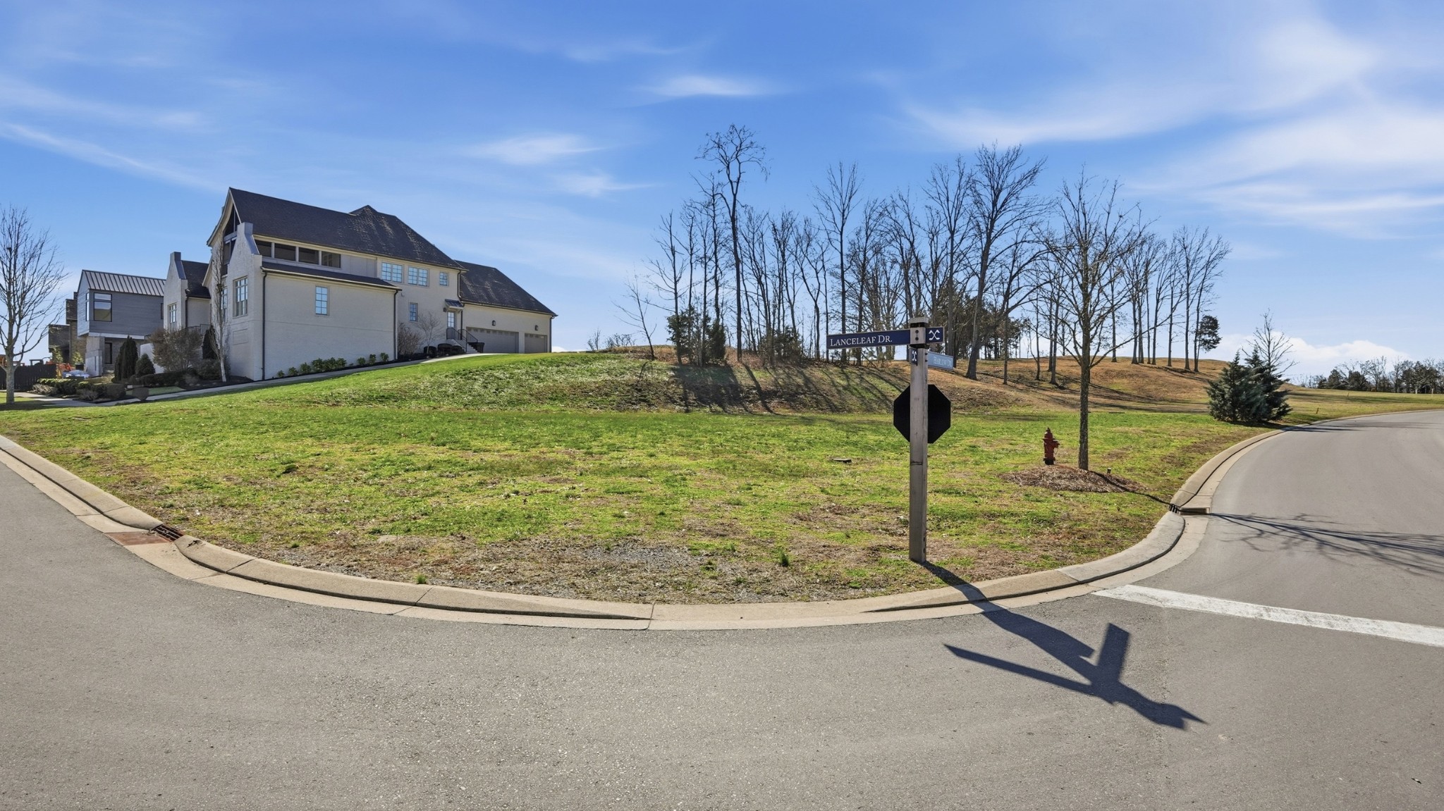 7100 Lanceleaf Drive College Grove, TN 37046 - Photo 4 of 10 a view of a backyard