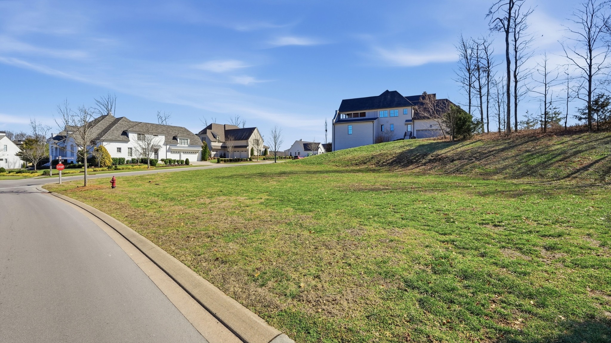7100 Lanceleaf Drive College Grove, TN 37046 - Photo 5 of 10 a view of a big house with a big yard and large trees