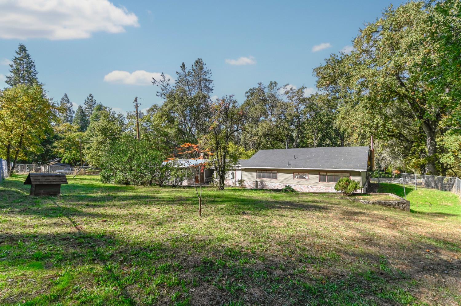 17542 Climax Road Jackson, CA 95642 - Photo 18 of 86 a front view of a house with a yard and trees