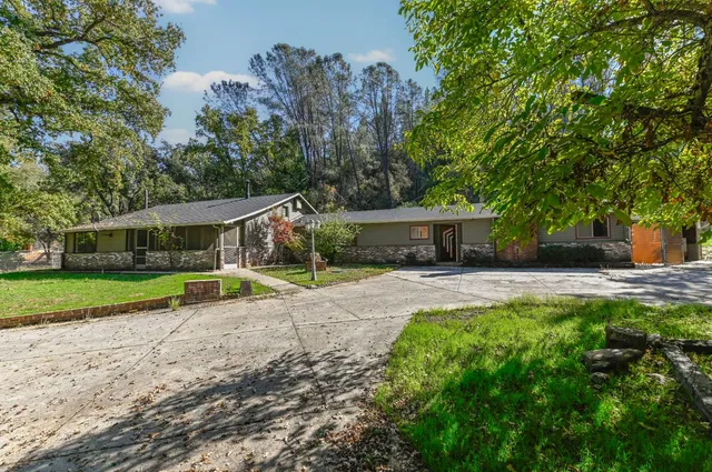 a view of a house with a small yard and a large tree