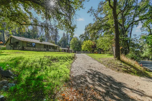 a front view of a house with a yard and trees