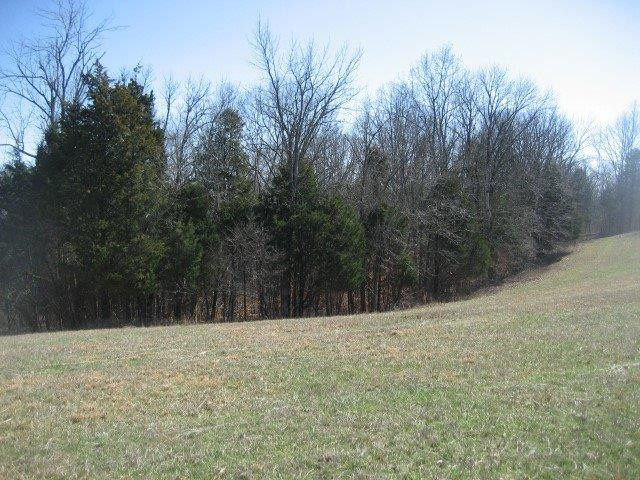 7890 Timber Creek Road Lawrenceburg, KY 40342 - Photo 13 of 23 Photo 13