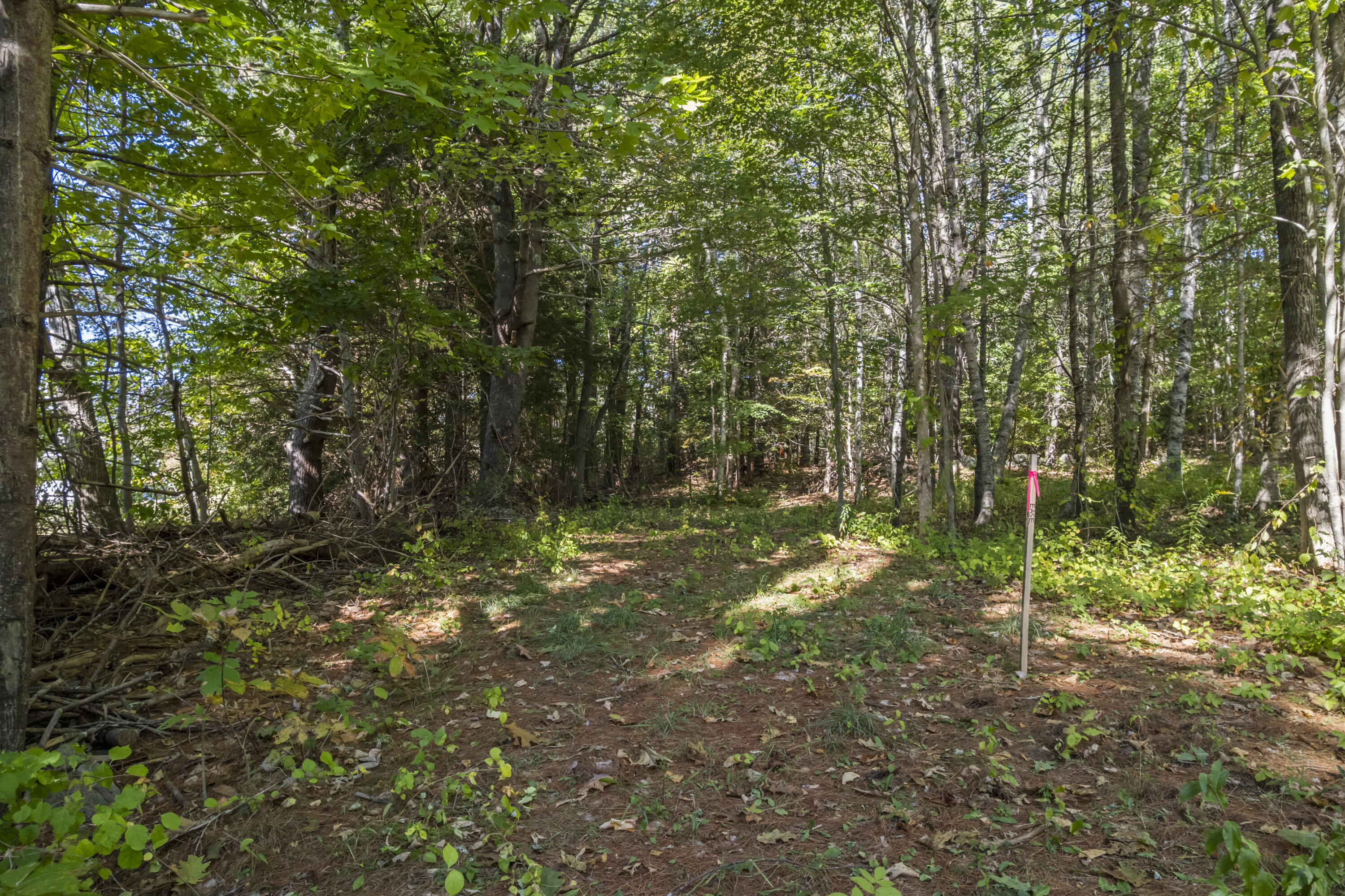 Lot # Deer Ridge Road Wiscasset, ME 04578 - Photo 7 of 12 0 Deer Ridge Rd_105