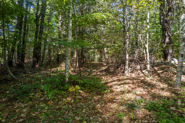 $99,000 | Lot # Deer Ridge Road, Wiscasset, ME 04578