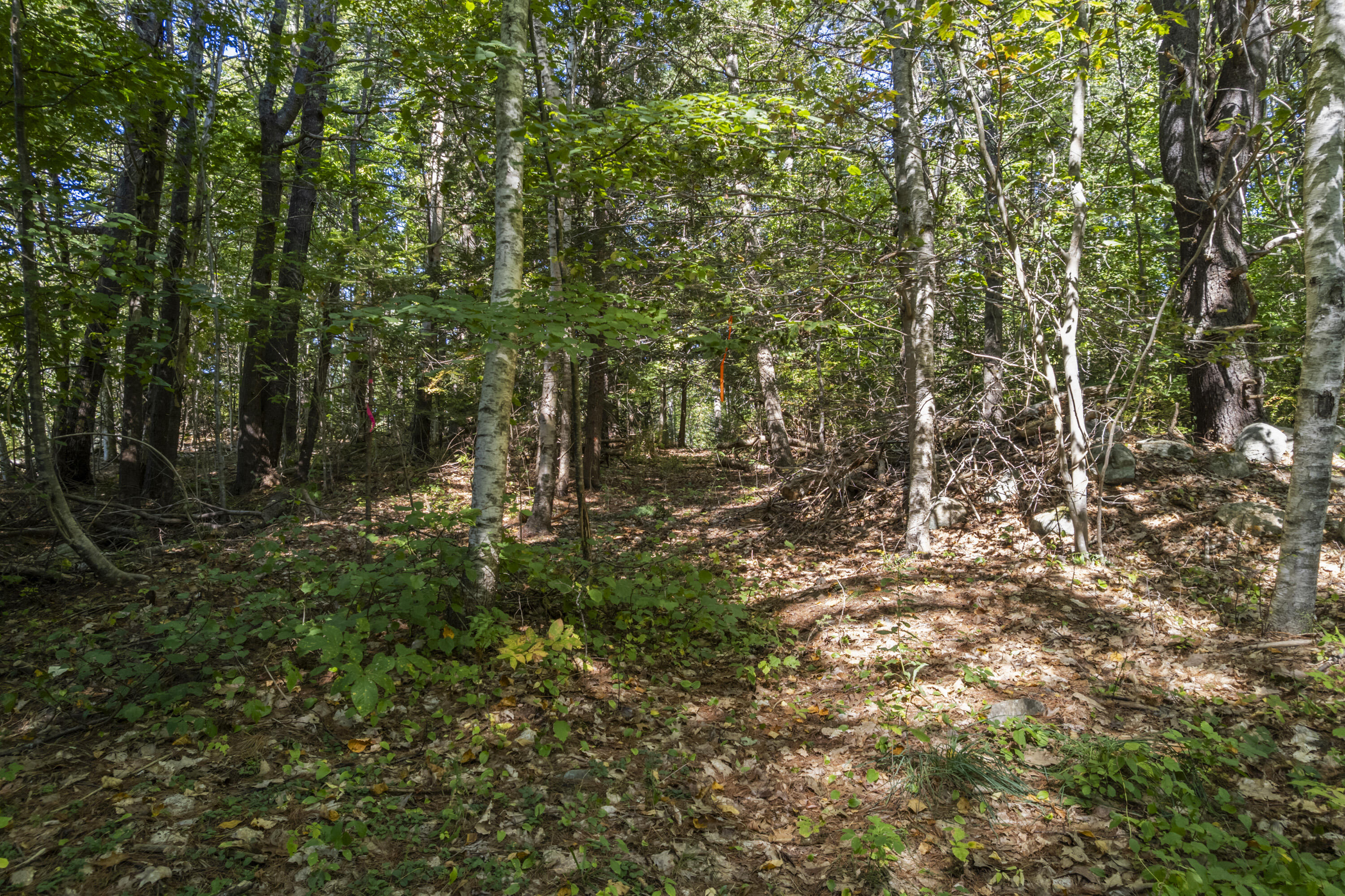 Lot # Deer Ridge Road Wiscasset, ME 04578 - Photo 8 of 12 0 Deer Ridge Rd_106