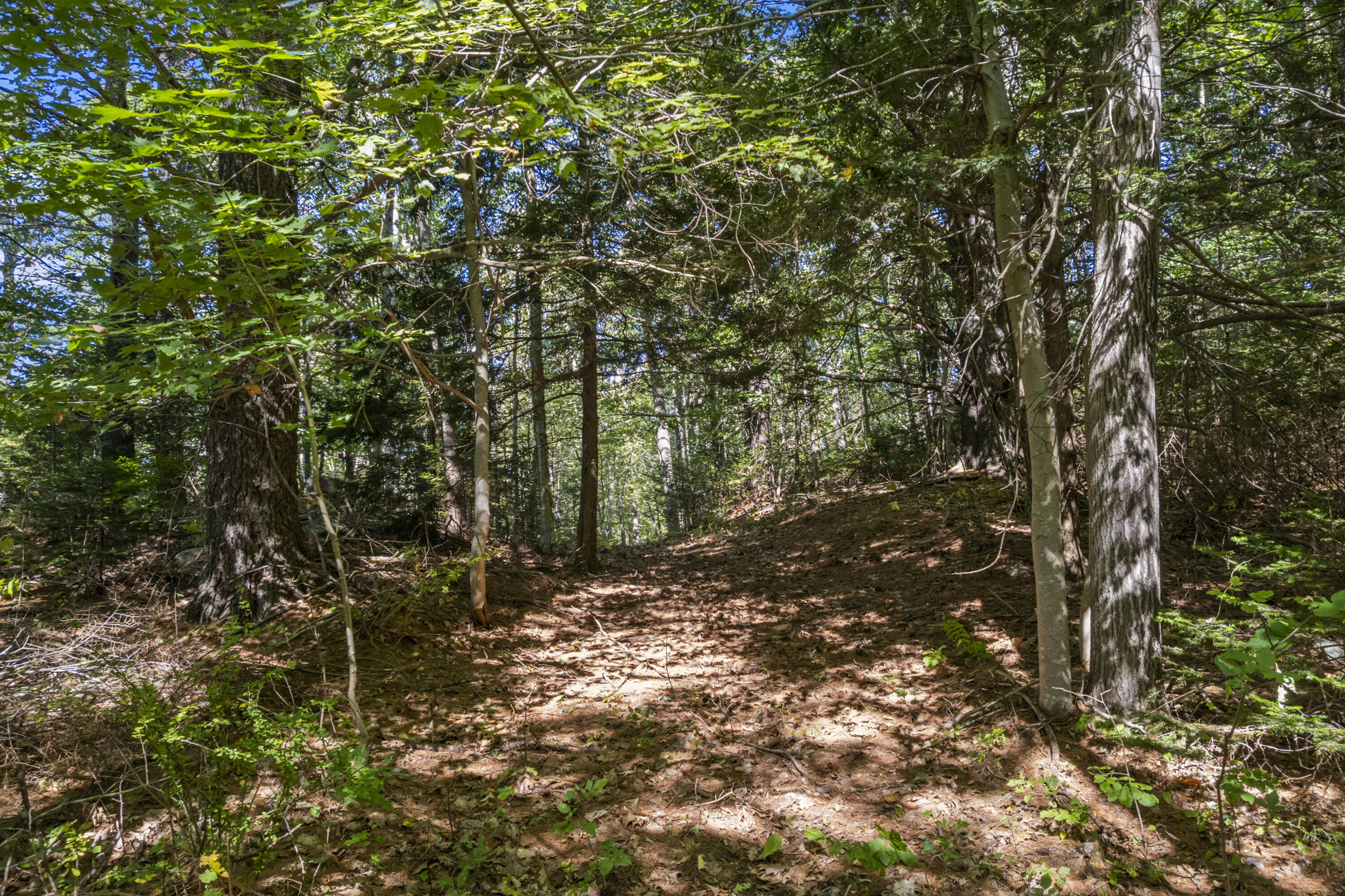 Lot # Deer Ridge Road Wiscasset, ME 04578 - Photo 9 of 12 0 Deer Ridge Rd_107