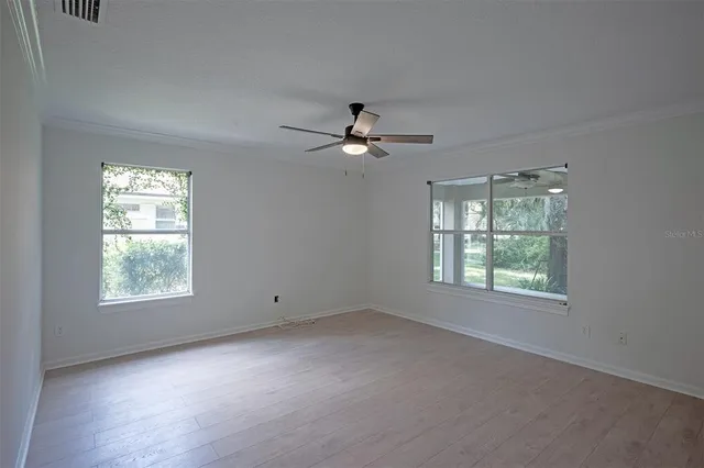 a view of a backyard with plants and large trees