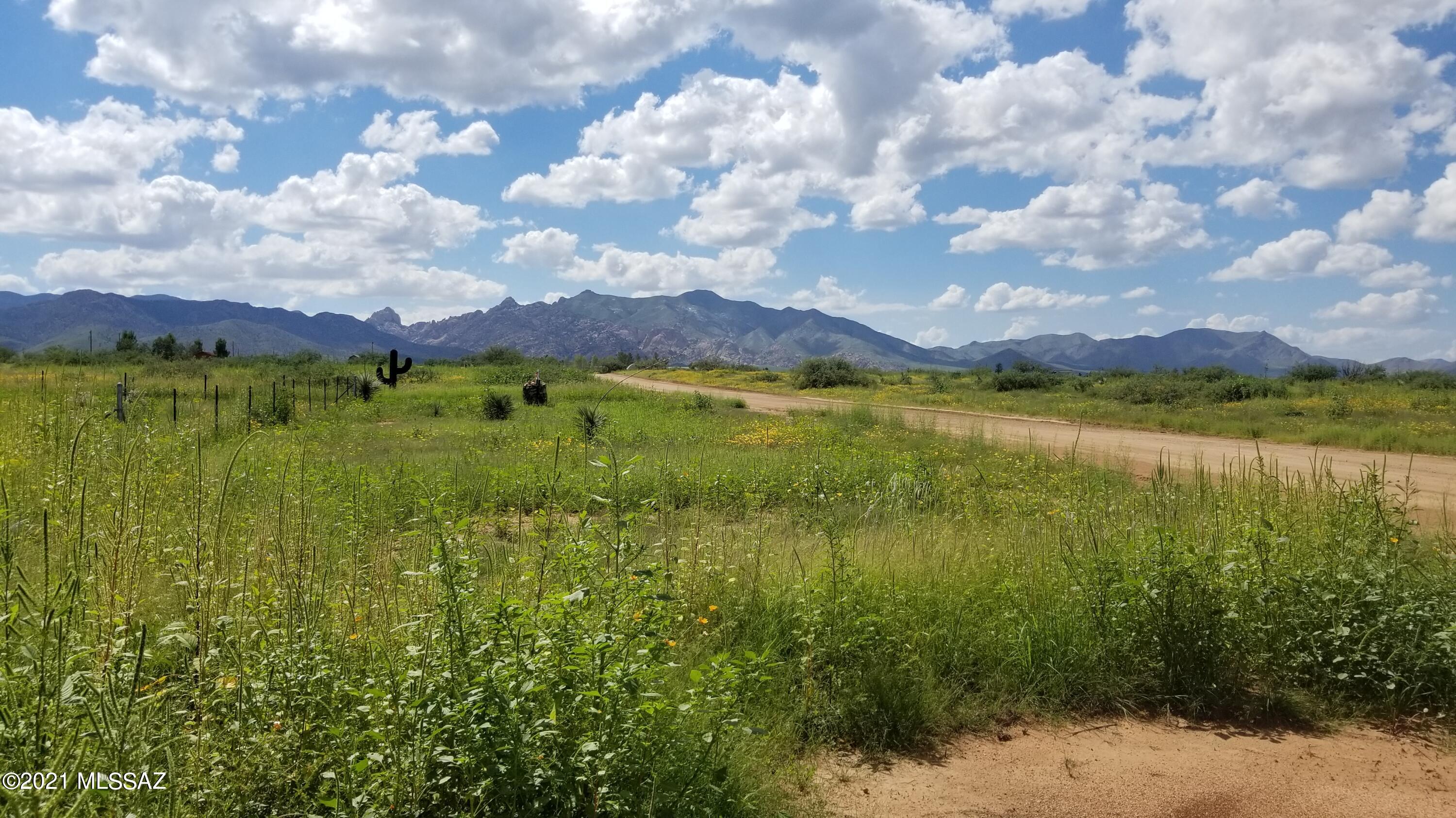 Tbd Treasure Road, Unit 4 Pearce, AZ 85625 - Photo 2 of 8 Gallery Image 2