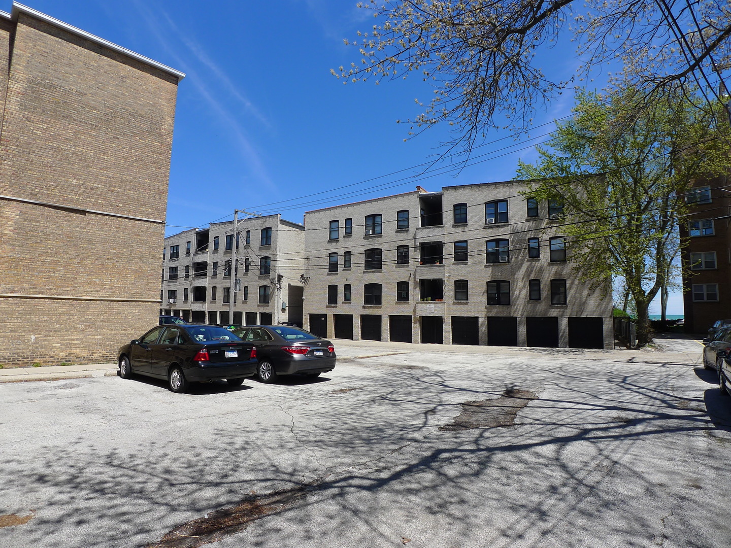 547 Sheridan Road, Unit 1E Evanston, IL 60202 - Photo 15 of 16 a view of a street with potted plants and large trees