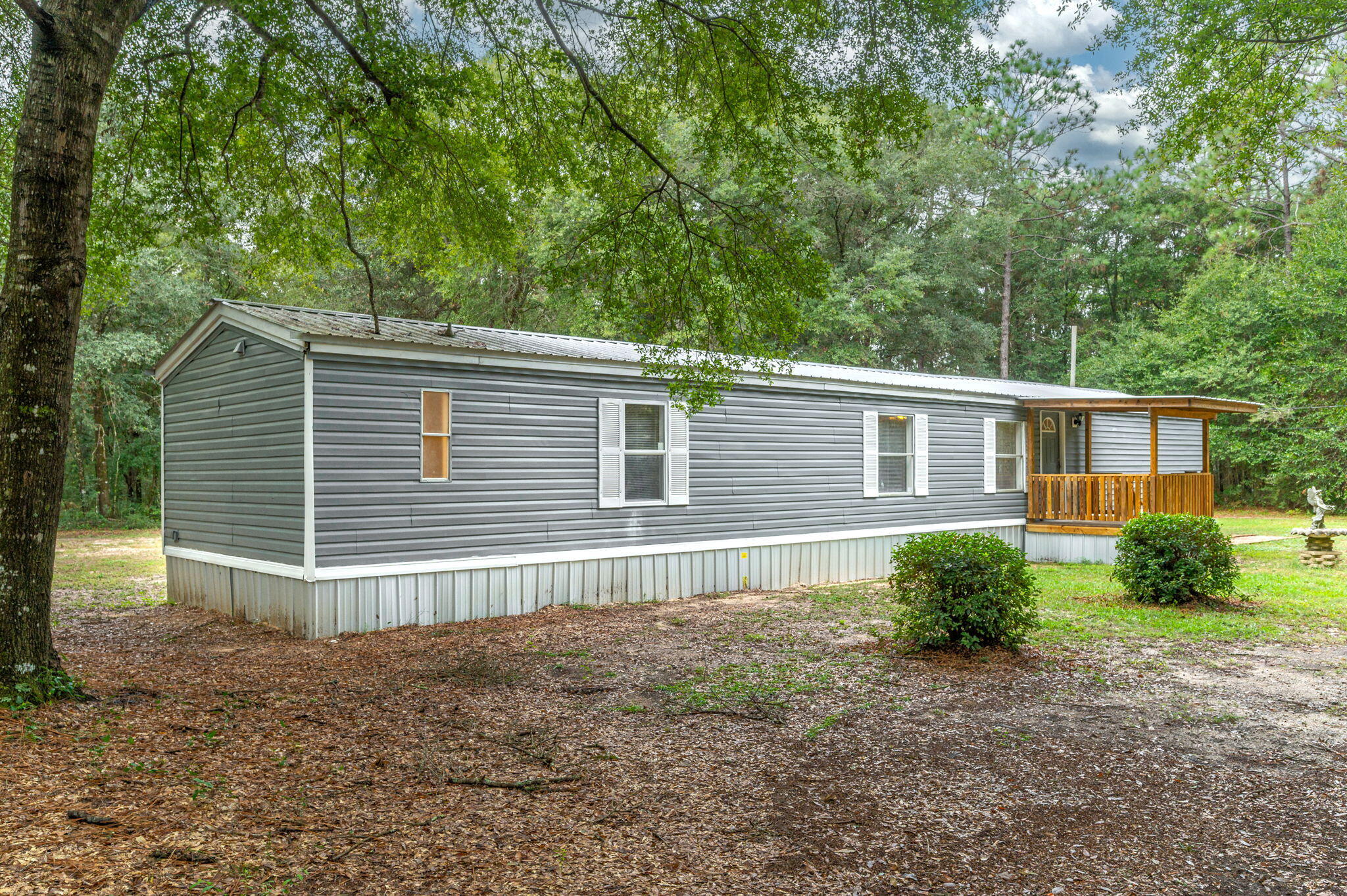 a backyard of a house with plants and large tree