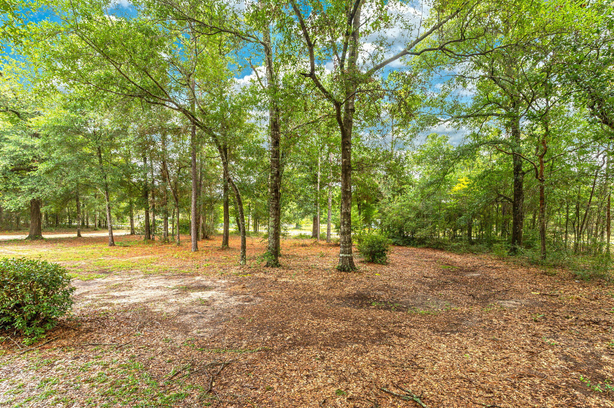1108 Country Living Road Baker, FL 32531 - Photo 30 of 33 a fire hydrant in the middle of a field