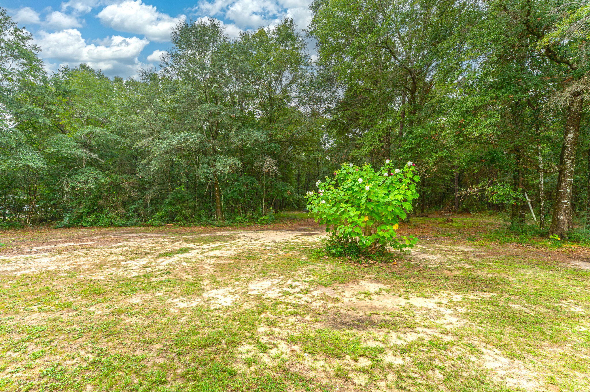 1108 Country Living Road Baker, FL 32531 - Photo 31 of 33 a view of backyard with swimming pool