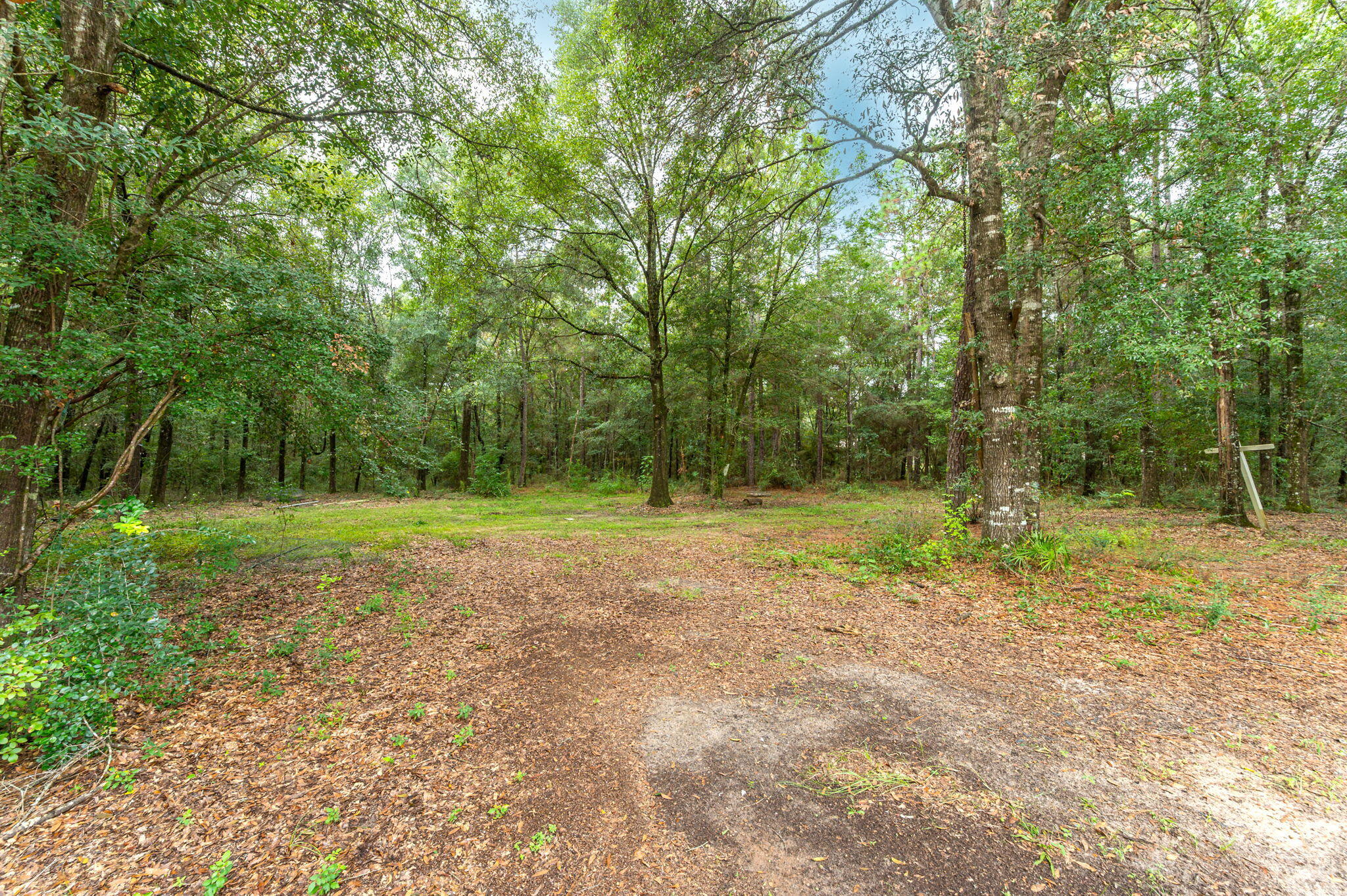 1108 Country Living Road Baker, FL 32531 - Photo 32 of 33 a view of outdoor space with trees