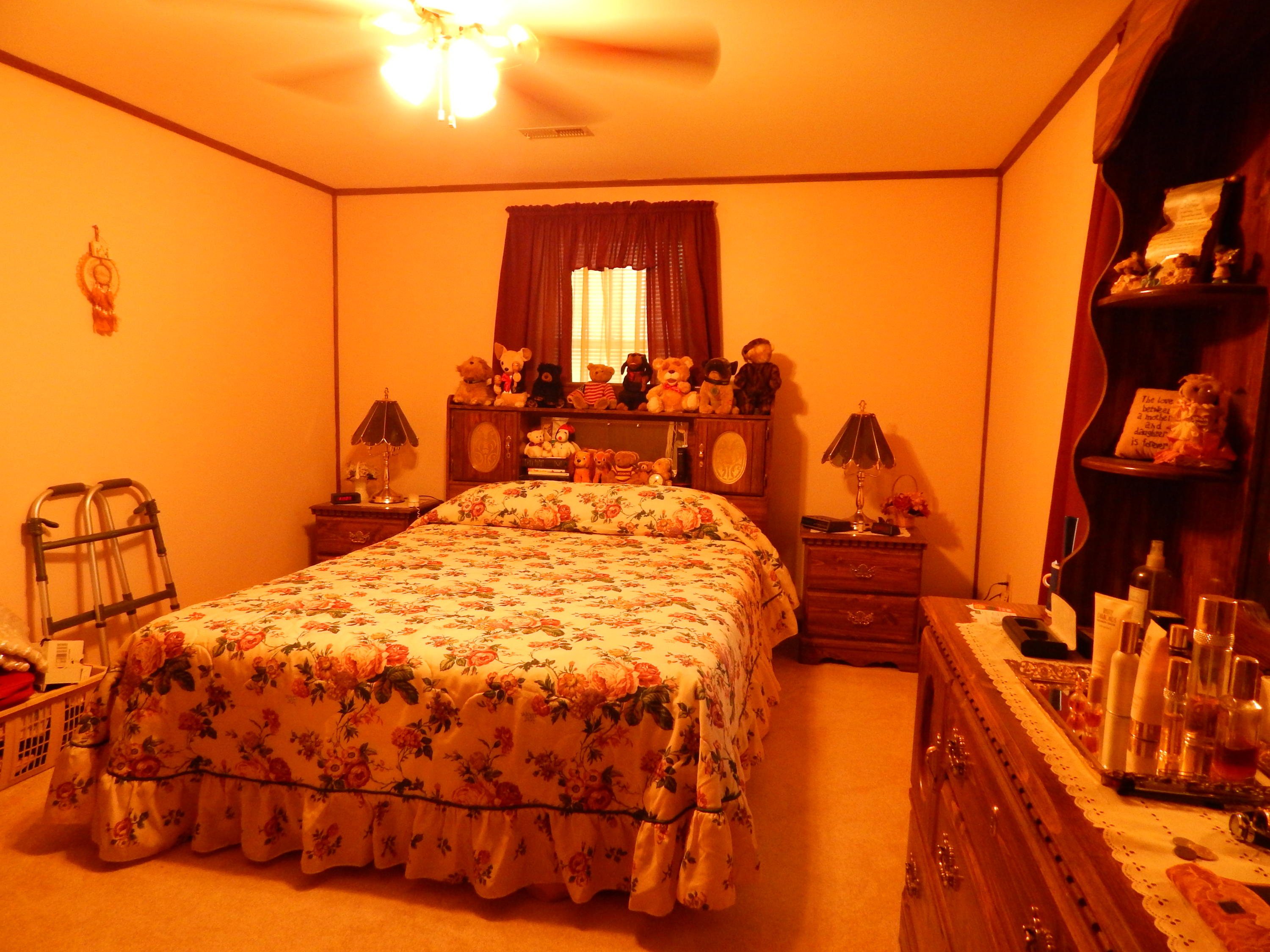 4519 Union Church Road Thaxton, VA 24174 - Photo 22 of 40 DSCN1955