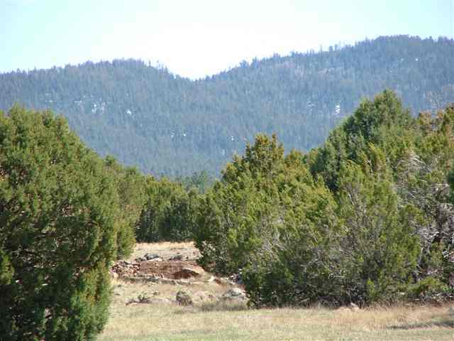 36 North C R 3261 Vernon, AZ 85940 - Photo 3 of 5