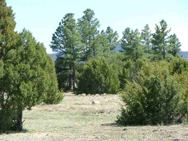 36 North C R 3261 Vernon, AZ 85940 - Photo 4 of 5