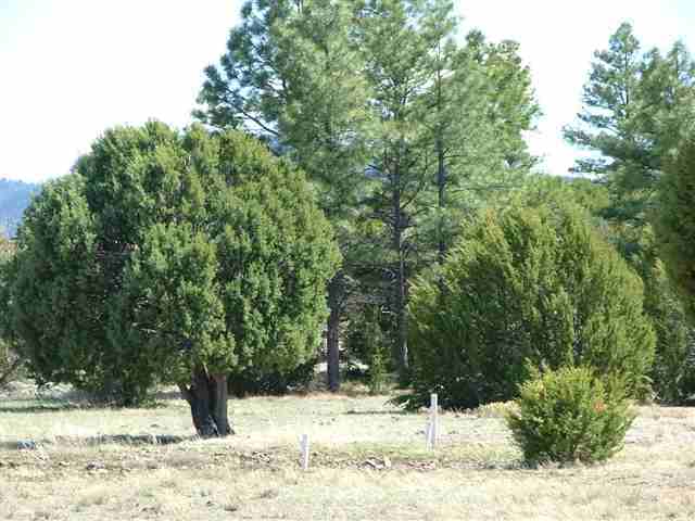 36 North C R 3261 Vernon, AZ 85940 - Photo 5 of 5