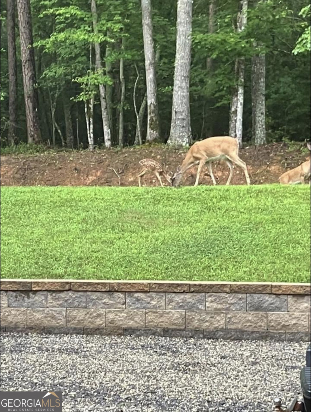 206 Hedden Road Murphy, NC 28906 - Photo 27 of 29 a backyard of a house with a yard and outdoor seating