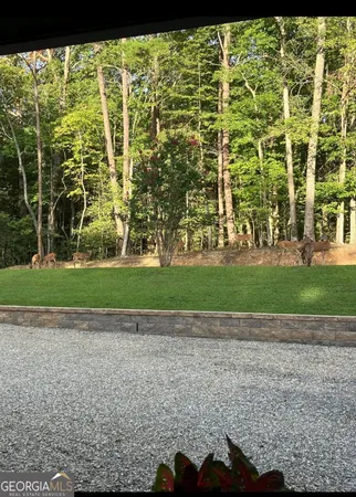 a view of a yard with a bench