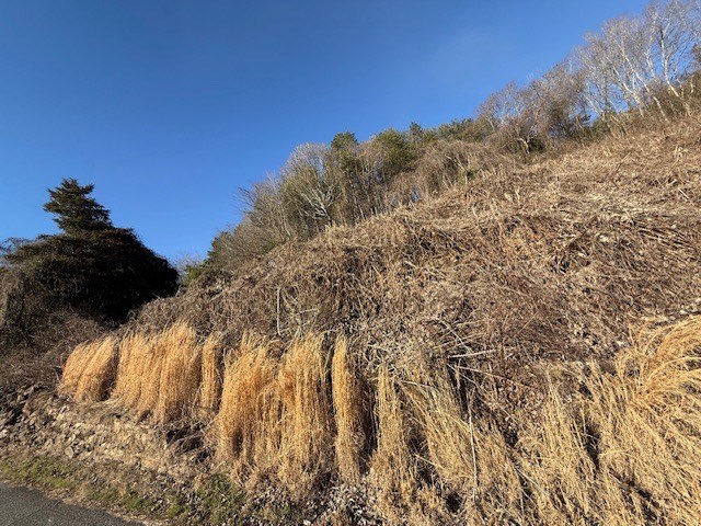 Lot Main Main Street Copperhill, TN 37317 - Photo 5 of 5