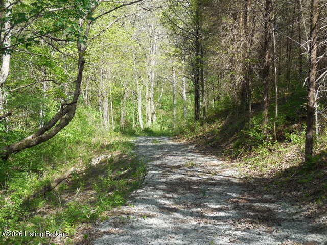 1655 Stewart Ridge Road Sparta, KY 41086 - Photo 11 of 31 DSCN3092