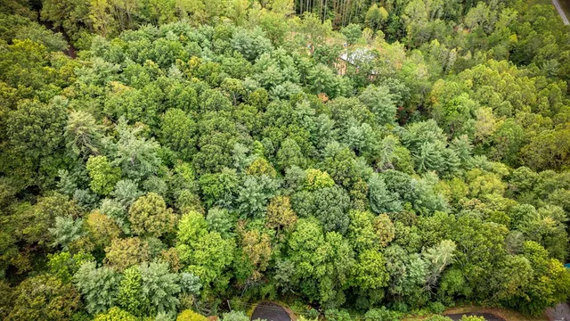 an outdoor view of a house with a tree