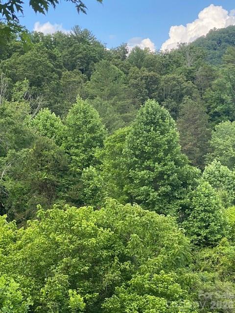 0 East Fork Road Marshall, NC 28753 - Photo 1 of 22