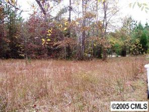4147 Tobe Road Edgemoor, SC 29712 - Photo 1 of 2 a view of backyard with tall trees