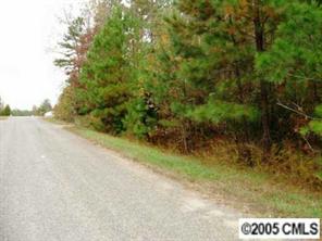 4147 Tobe Road Edgemoor, SC 29712 - Photo 2 of 2 a view of a yard with a tree