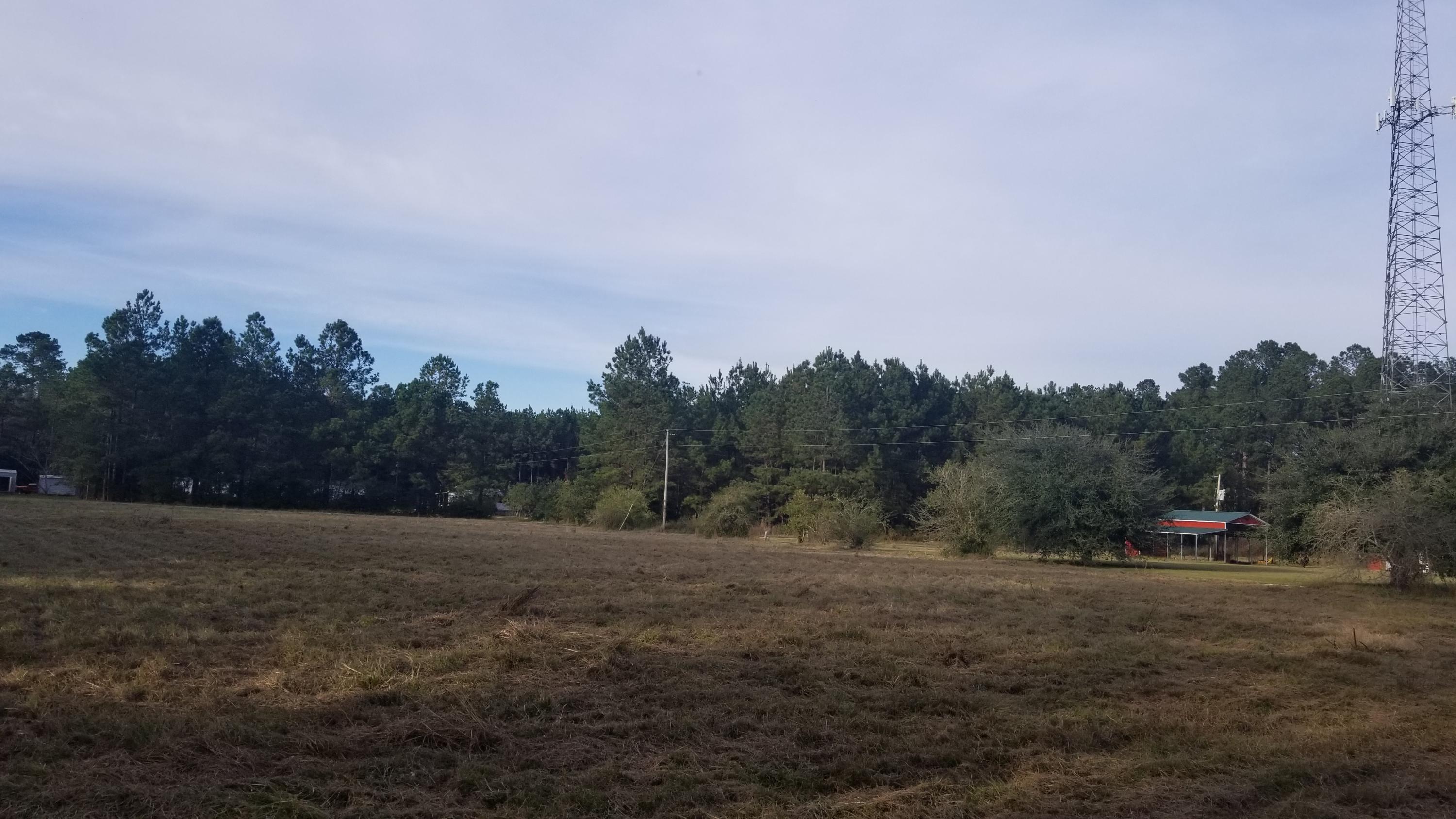 1 Eagerton Lane Ridgeville, SC 29472 - Photo 18 of 19 20191111_155544