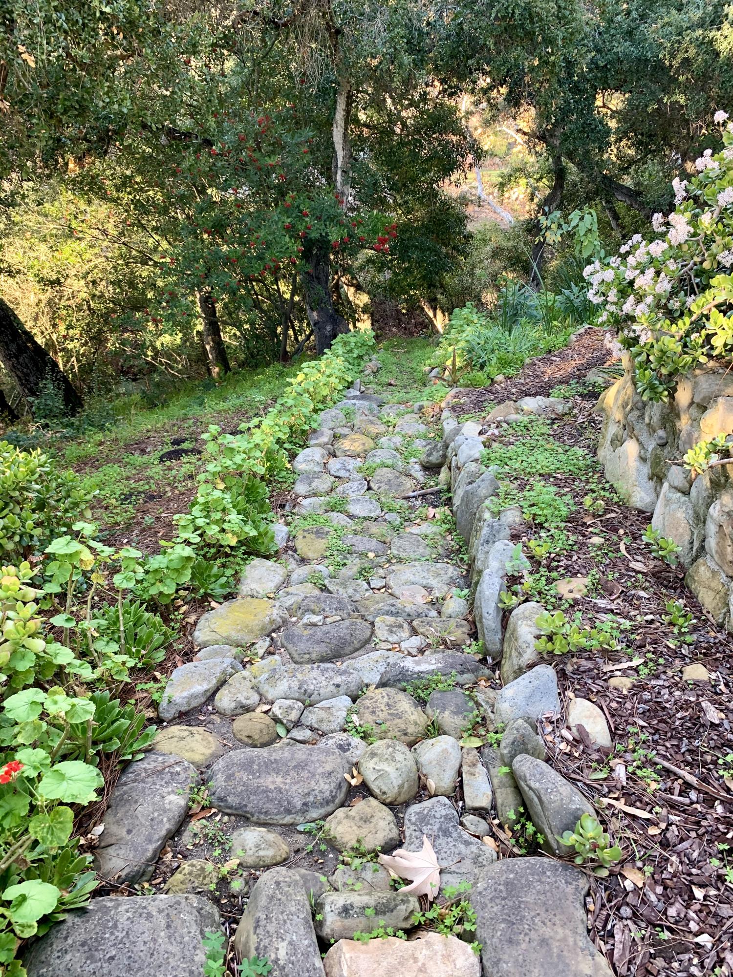 2261 Las Canoas Road Santa Barbara, CA 93105 - Photo 41 of 42 a view of a garden with a tree